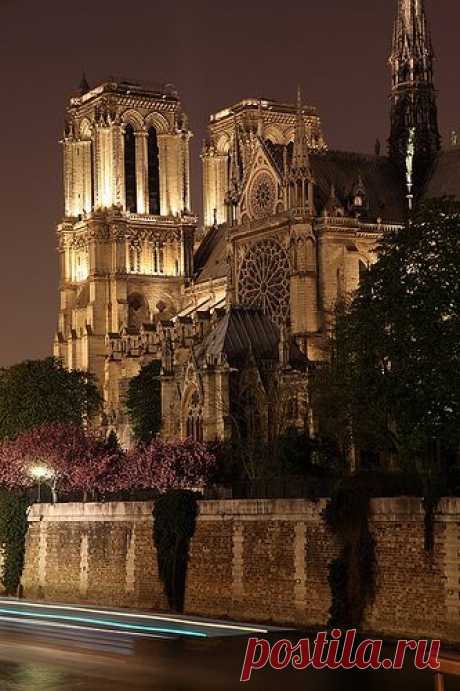 Paris Notre Dame