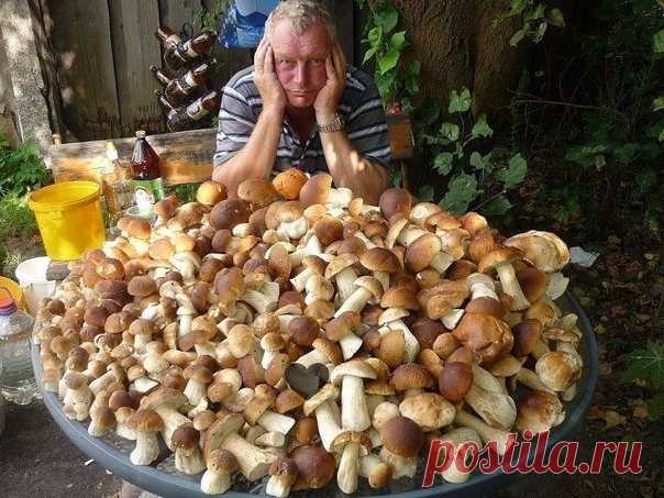 Эх, вот и насобирали 😄