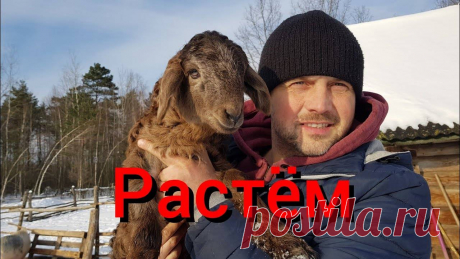 Смотреть блог черничный хутор последние выпуски Блог по вязанию для начинающих и опытных вязальщиц Ваш ресурс номер один для обучения вязанию спицами. Блог, посвященный бесплатным выкройкам, видео по вязанию, пряже и всему, что нужно для этого удивительного хобби.