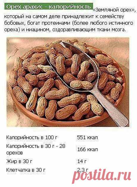 Польза орехов в картинках.