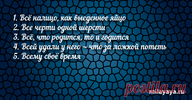 Короткая пословица для женщин в картинках (картинка 96) . Милая Я