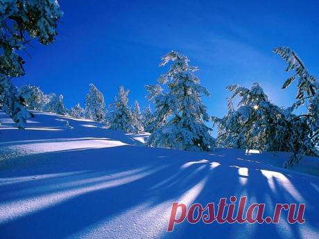 Зимнее настроение