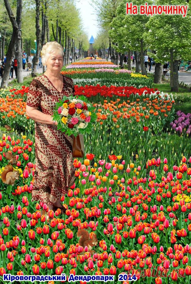 Анастасия Прокопенко