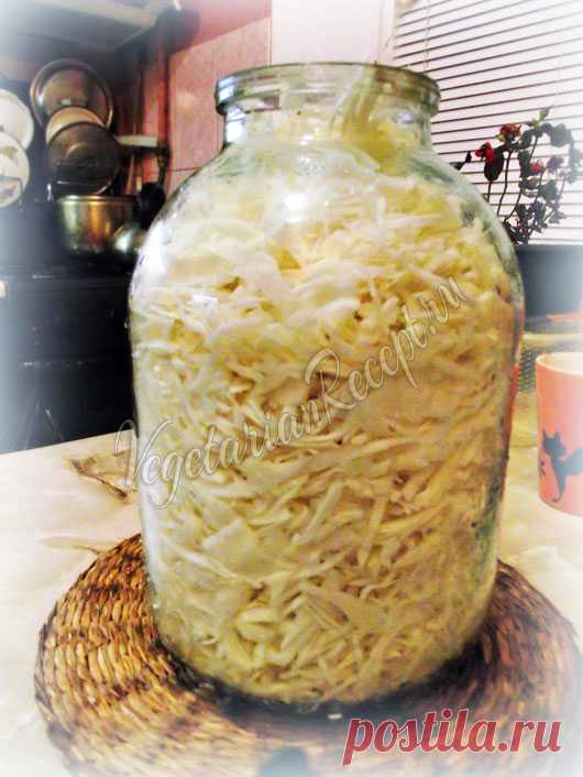Квашеная капуста без соли - рецепт