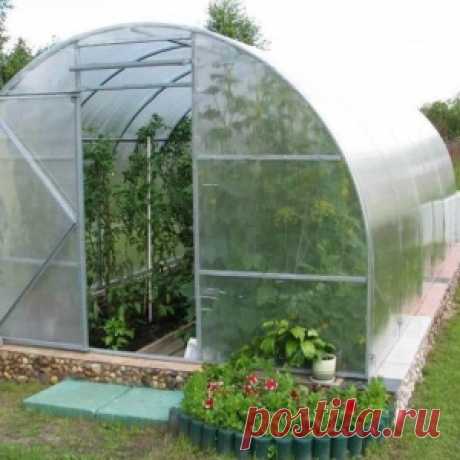 Новости - МирТесен