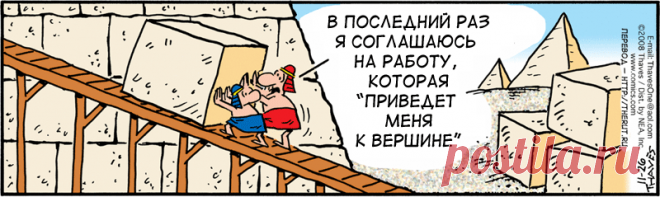 Карикатуры про сфинкса