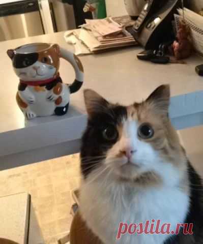 один в один