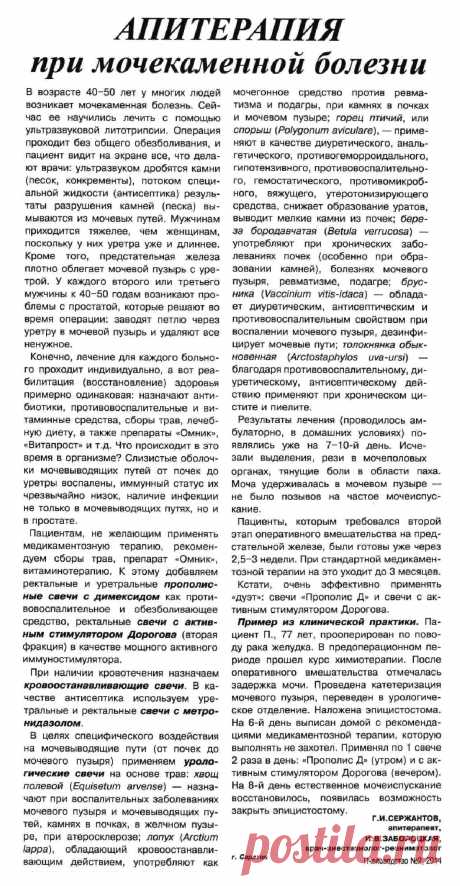 Апитерапия при мочекаменной болезни