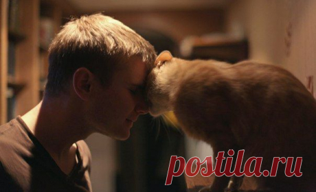 Они чувствуют друг друга... И им хорошо!