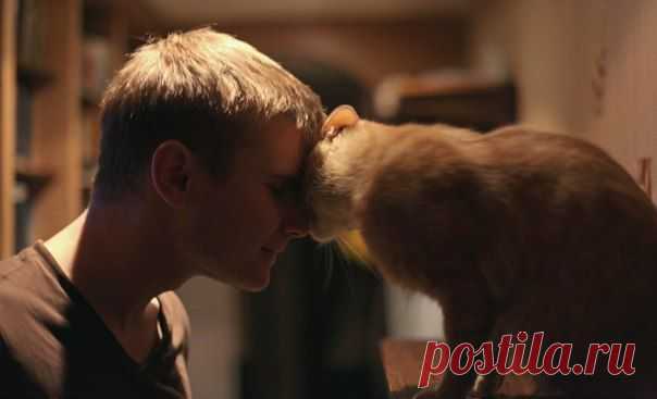 Они чувствуют друг друга... И им хорошо!