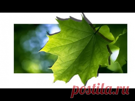 🍀 Роскошный 3d эффект фото !!! | Как сделать объемный фотоэффект на картинке в PhotoShop / уроки фотошоп. - YouTube