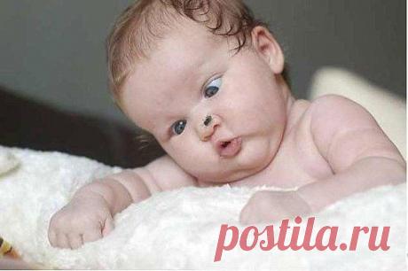 ВОТ ОНА КАКАЯ - БЛЯХА МУХА.......