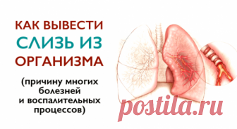 КАК ВЫВЕСТИ СЛИЗЬ ИЗ ОРГАНИЗМА И СТАТЬ ЗДОРОВЕЕ НА 10 ЛЕТ