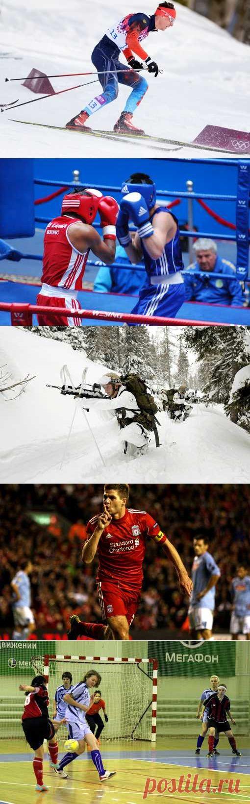 Рукопашный бой, Маунтинборд, Пейнтбол, Санный спорт. (1/1) - Спортивный форум. - Спортивный сайт