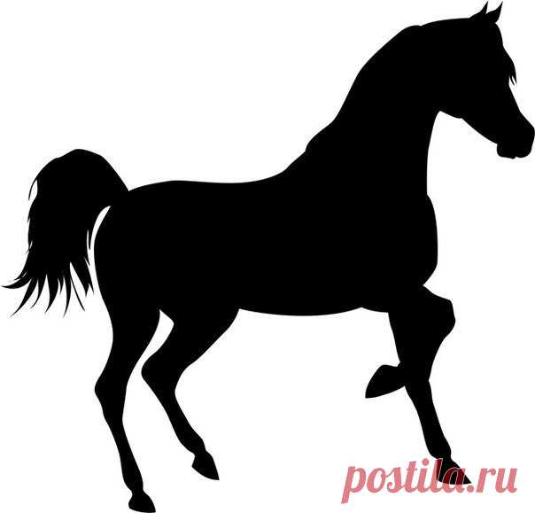 Лошади. Трафареты.