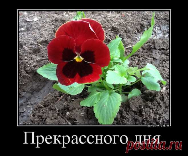 Прекрассного дня !