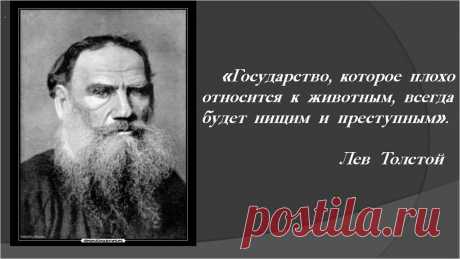 Зло приносят не великие люди, а ничтожества, которые пытаются быть великими. Джон Фаулз: 881 изображение найдено в Яндекс Картинках