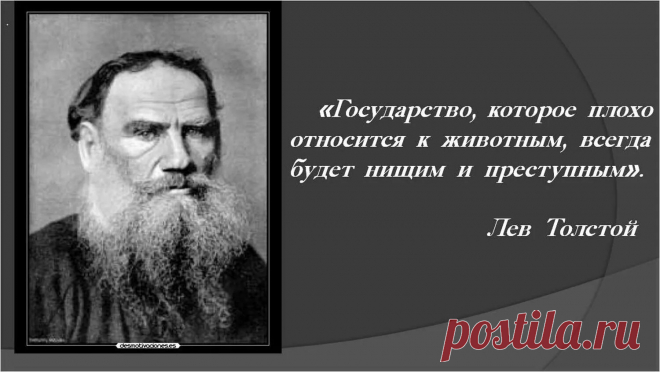 Зло приносят не великие люди, а ничтожества, которые пытаются быть великими. Джон Фаулз: 881 изображение найдено в Яндекс Картинках