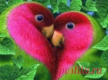 (5) Pinterest