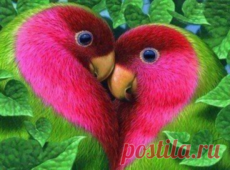 (5) Pinterest