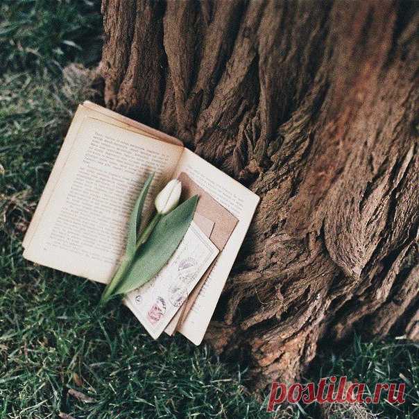 Философия, меняющая жизнь.