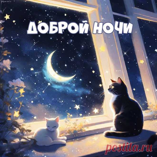 Спокойной ночи, ярких сновидений,
Во сне невероятных приключений.
Надеюсь, там мы встретимся с тобой
В ночи, под звездным небом и луной.