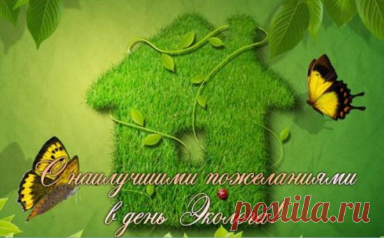 С Днём эколога! Удачи
Самой яркой и большой,
Пусть решаются задачи
Все с холодной головой.
