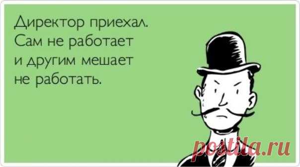 snhvokgs-qs-jpg.65 (604×337)