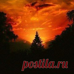 Чтобы насладиться восходом солнца, надо полюбоваться зарей.