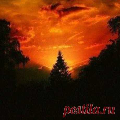 Чтобы насладиться восходом солнца, надо полюбоваться зарей.