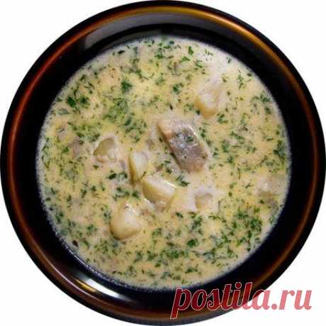 СУП с СЕЛЬДЬЮ