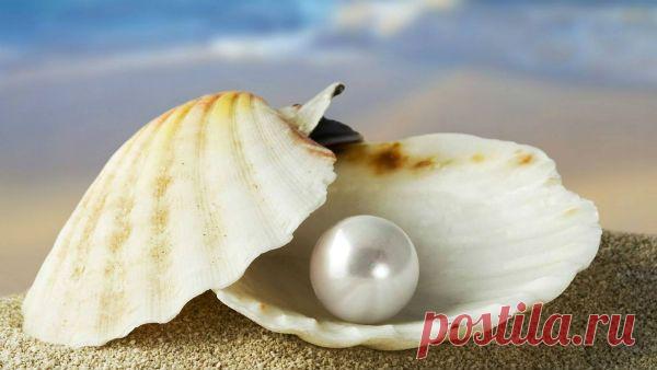 Принцип жемчужной раковины