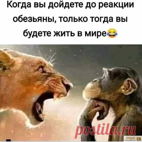 Угарный вечер / Картинки: Приколы