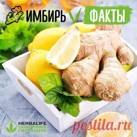 ПОЛЕЗНЫЕ СВОЙСТВА ИМБИРЯ