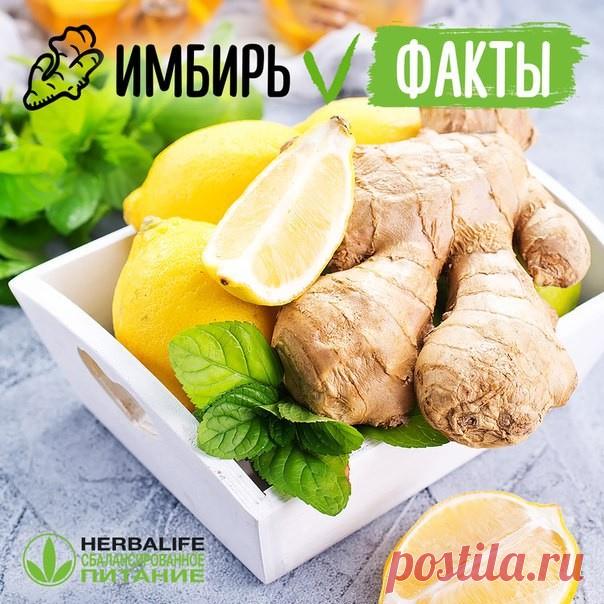 ПОЛЕЗНЫЕ СВОЙСТВА ИМБИРЯ