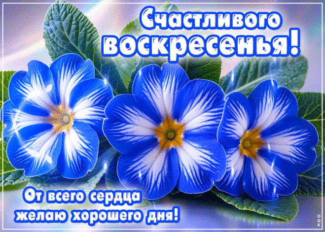 Желаю отличного воскресенья! Пусть день будет богат на приятные события, а отдых принесет максимальное расслабление и восстановление.
