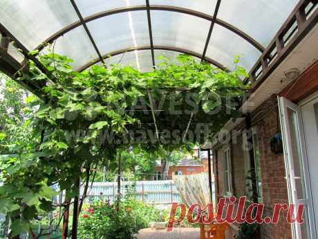 Навесы из поликарбоната к дому: цена и фото в Ростове. Изготовление навесов из поликарбоната от Navesoff.org - Навесофф