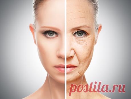 Меню на неделю: Николас Перриконе меняет не только фигуру, но и лицо. Самая эффективная диета для кожи лица.