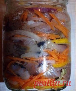 СЕЛЁДКА ПО-ГОЛЛАНДСКИ