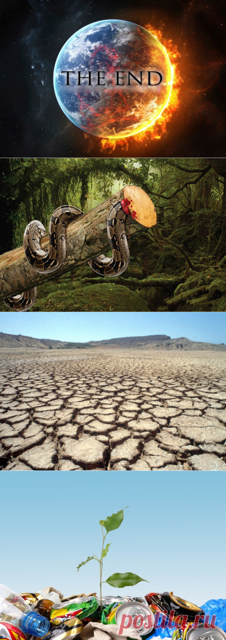 Земля - наш дом, и мы должны охранять его от нас