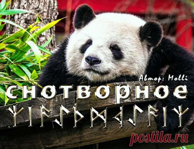 заговоры | Записи в рубрике заговоры | Дневник домоправительницы