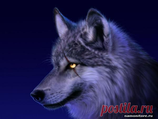 Красивые картинки различной тематики для поздравлений, обоев, заставок