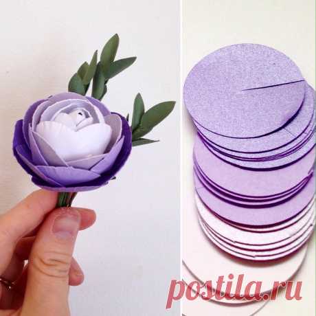 Laura Reed в Instagram: «Sometimes the simple flat shapes make the more detailed paper flowers. Ranunculas are new to me and although they take ages, I do like the…» 413 отметок «Нравится», 26 комментариев — Laura Reed (@thingsbylaura) в Instagram: «Sometimes the simple flat shapes make the more detailed paper flowers. Ranunculas are new to me and…»
