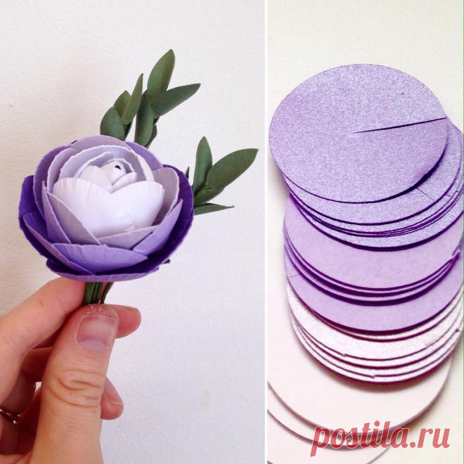 Laura Reed в Instagram: «Sometimes the simple flat shapes make the more detailed paper flowers. Ranunculas are new to me and although they take ages, I do like the…» 413 отметок «Нравится», 26 комментариев — Laura Reed (@thingsbylaura) в Instagram: «Sometimes the simple flat shapes make the more detailed paper flowers. Ranunculas are new to me and…»