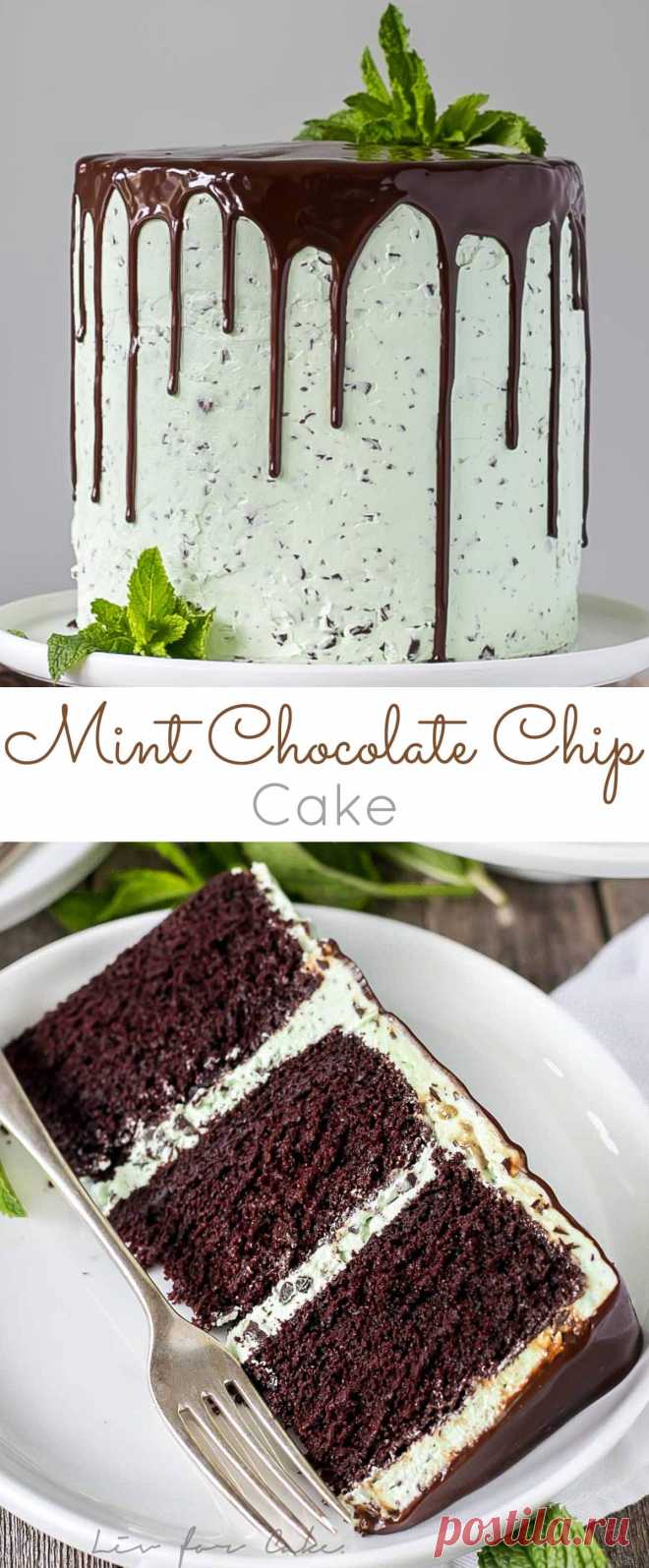 Mint Chocolate Chip Cake - Liv for Cake