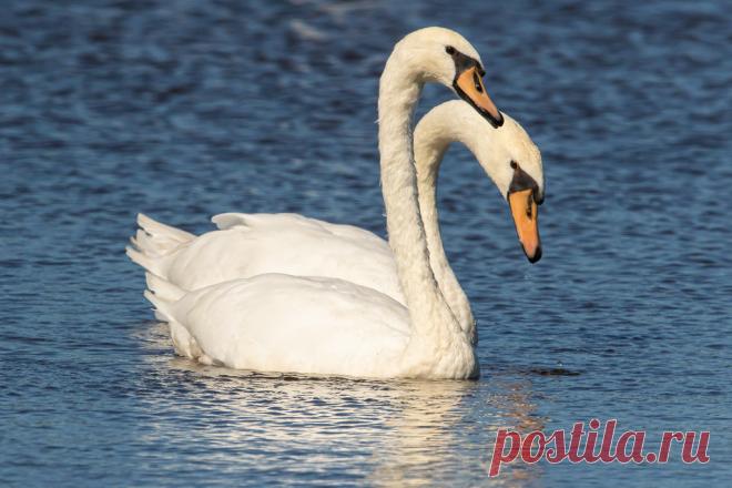 SAM_7123 Explore Scott Alan McClurg's photos on Flickr. Scott Alan McClurg has uploaded 10540 photos to Flickr.