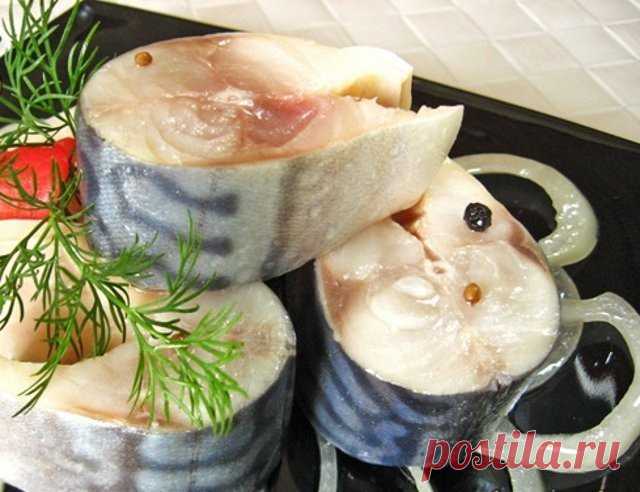 Вкуснейшая скумбрия домашней засолки

3 замороженные скумбрии нарезаем на кусочки, размораживать не надо.
Чистим и нарезаем 3 луковки и 3 зубчика чесночка.

Скумбрию, лук и чеснок складываем в миску,добавляем 1 чайную ложку сахара,1 столовую ложку соли с горкой(можно и больше,по вкусу) ,4 столовых ложки уксуса,5 ложек масла,перец горький молотый,перец душистый горошком,лавровый лист. Аккуратно перемешать.

В банку сложить рыбку с рассолом плотно утрамбовать, накрыть крышко...