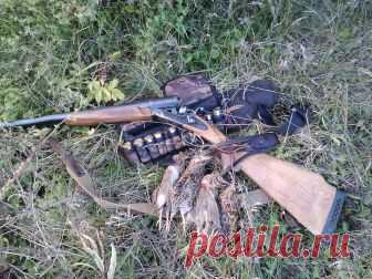 Новый опыт охоты Сам я охотник в четвертом поколении. В этих местах еще прадед мой промышлял. И, как тогда, так и сейчас, основной товарной единицей, кормившей весь мой род, были волки. Вернее, их плановый отстрел для поддержания необходимой численности...