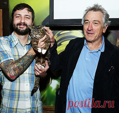 Кошка - звезда интернета | ZooTovar.ru - Интернет-издание о животных, домашние питомцы

На фото вместе со знаменитым Робертом де Ниро полосатая симпатичная кошка по кличке Лил Баб и ее хозяин. Физические недостатки кошки: малый рост, виной чему короткие шестипалые лапы, язычок, который всегда торчит изо рта, вздернутый нос, не помешали ей стать любимицей Интернет-публики. Именно эти особенности внешности принесли ей популярность.