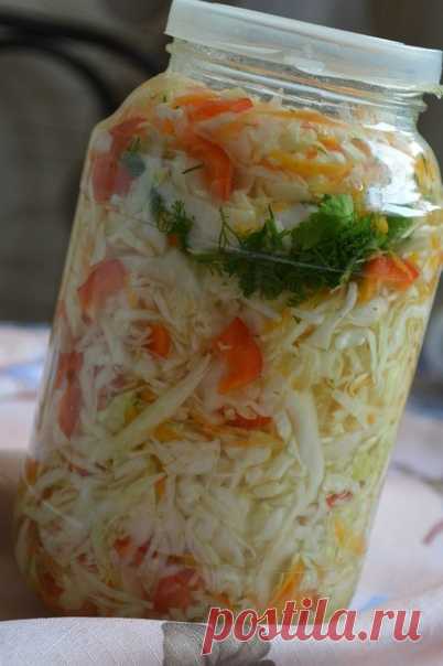 Салат капустный (в горячем маринаде)

На трёх литровую банку:
Капуста- 1 небольшой кочан
Морковь - 1шт.
Показать полностью…